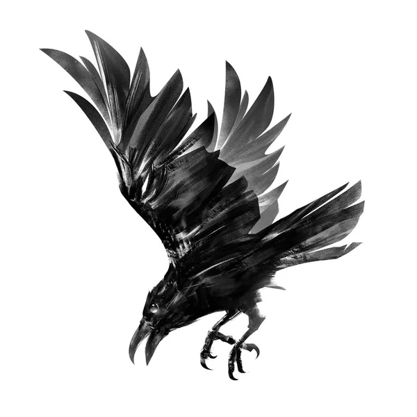 Drawing of a diving crow. Isolated sketch of a bird in flight. — Stock Photo, Image