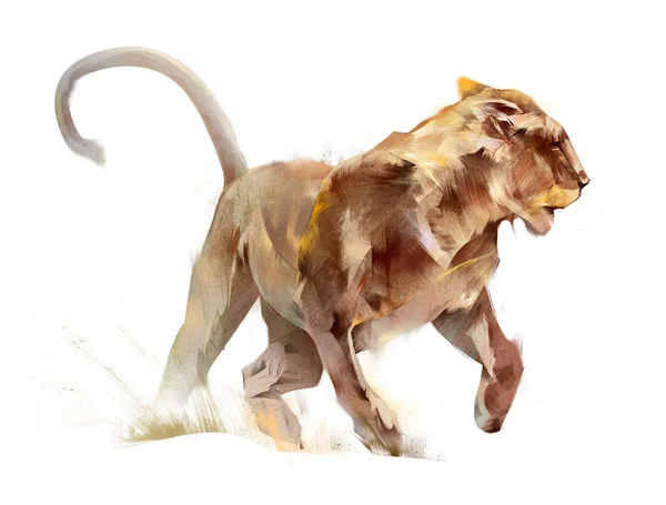 Colored sketch isolated running animal lioness. — Stock Photo, Image