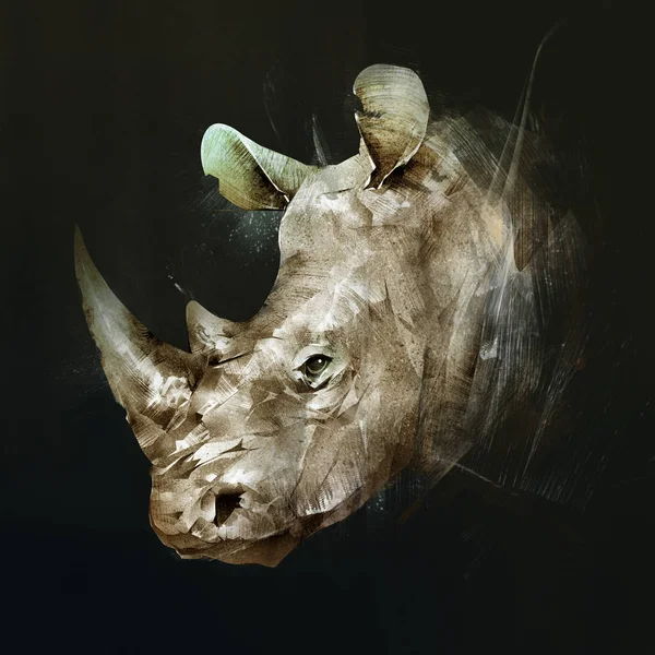 측면에는 Rhino의 총구의 컬러 그림 — 스톡 사진