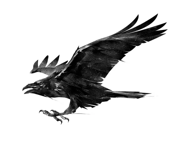 Croquis isolé d'un corbeau volant sur le côté — Photo