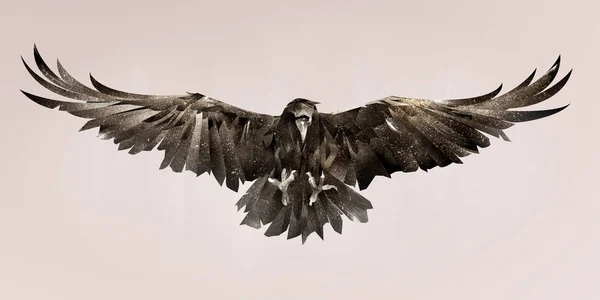 นกทาสีเรเวนที่ด้านหน้า นกสเก็ตช์สี — ภาพถ่ายสต็อก