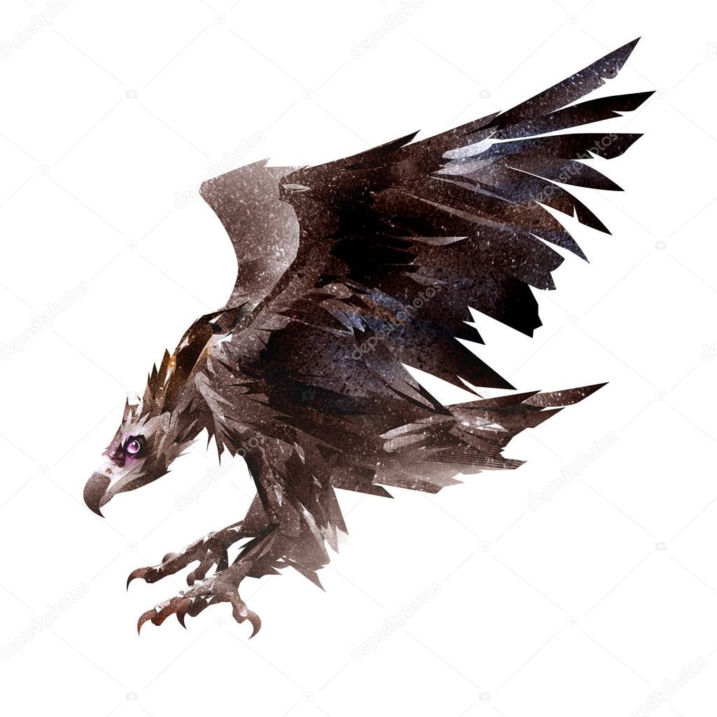 painted flying bird, the vulture, the scavenger side