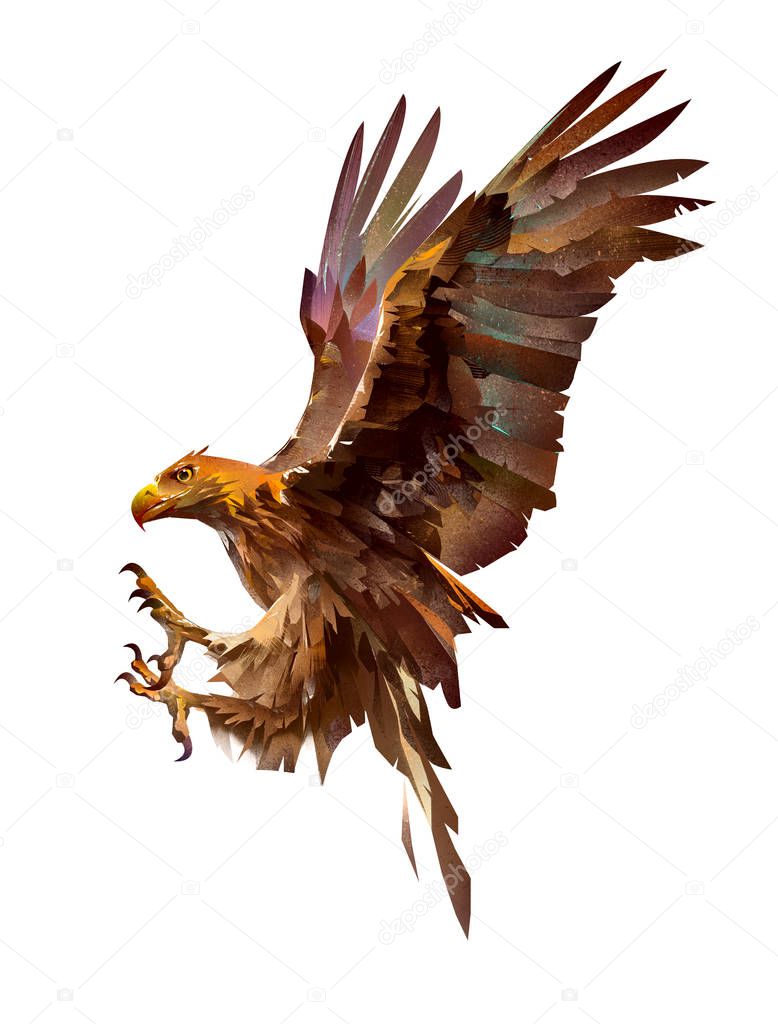 painted attacking bird eagle on white background
