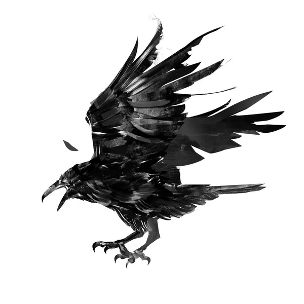 Drawn monochrome feathered crow bird isolated — Stock Photo, Image