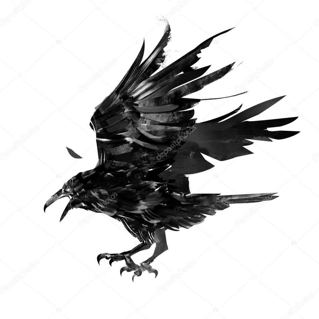 drawn monochrome feathered crow bird isolated