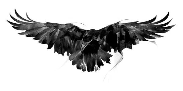 Gezeichnete fliegende Krähe auf weißem Hintergrund vorne — Stockfoto