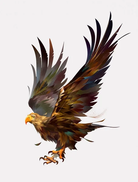 Getrokken van geïsoleerde kleur vliegende vogel eagle — Stockfoto