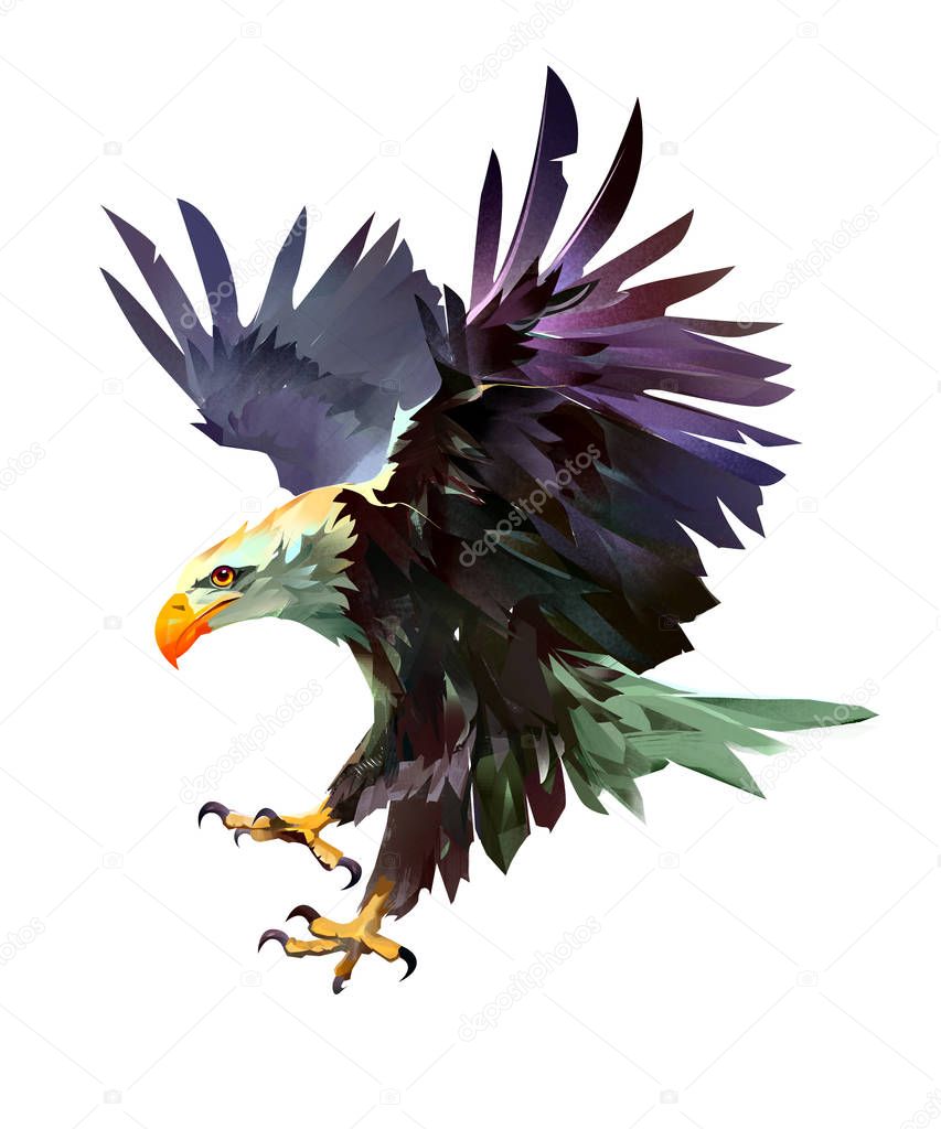 bright painted bird eagle in flight