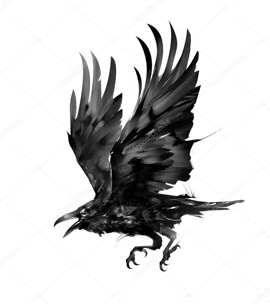 painted isolated flying bird rook on the side