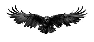 the painted bird is a Raven in front on a white background clipart