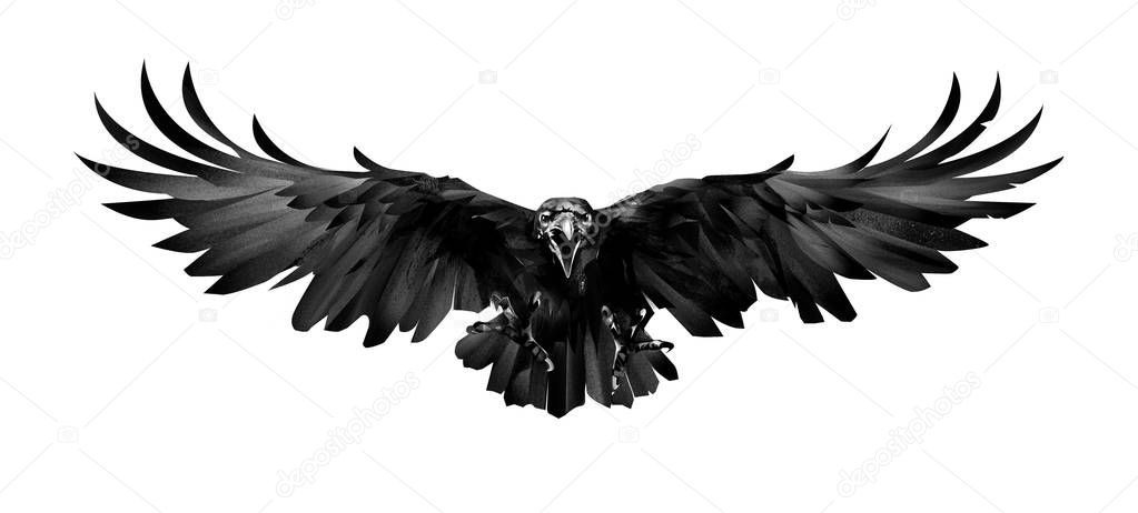 the painted bird is a Raven in front on a white background