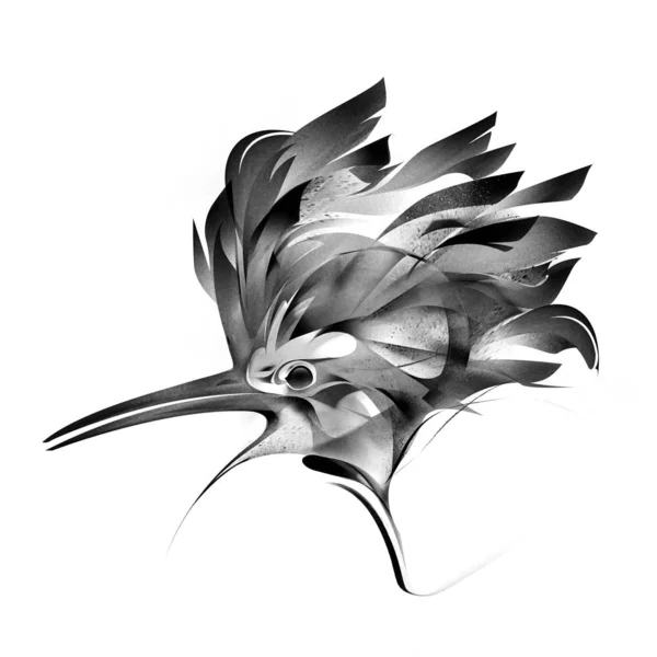 Tête dessinée d'oiseau huppé sur fond blanc — Photo