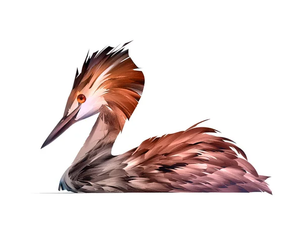 Dipinto colorato uccello galleggiante Grande Grebe Crested — Foto Stock