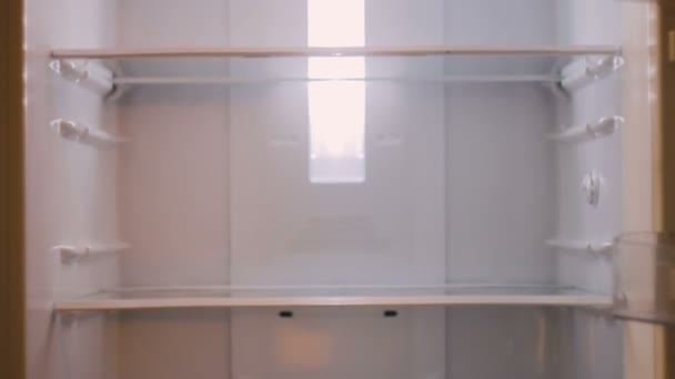 Vuoto frigorifero bianco inclinare verso il basso e verso l'alto — Video Stock