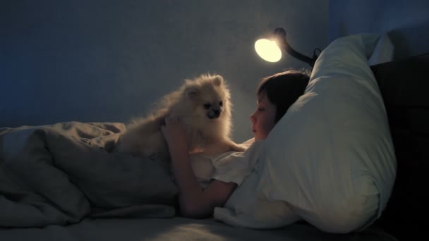 Αγόρι ανάπαυση στο κρεβάτι του το βράδυ και παίζει με το σκύλο του — Αρχείο Βίντεο