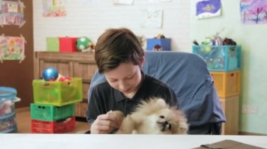 Sevimli küçük çocuk onunla oynamaya çalışırken onun rahatsız küçük köpek spitz geçiyor
