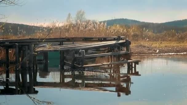 Old broken wooden pier in the sunny evening — Stock Video