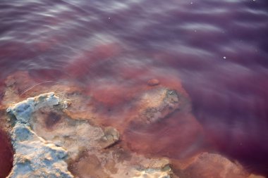 Bazı tuzaklar tuz kabuk, pembe suluboya olmak ile. Las salinas, Torrevieja, İspanya