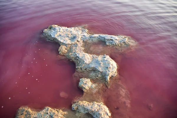 Algunos de los escollos con corteza de sal, siendo en color rosa acuarela. Las salinas, Torrevieja, España Fotos De Stock Sin Royalties Gratis