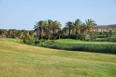 Muhteşem yeşil ve gölet ile golf sahası. Algorfa, Apain.