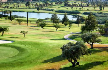 Muhteşem yeşil ve gölet ile golf sahası. Algorfa, Apain.