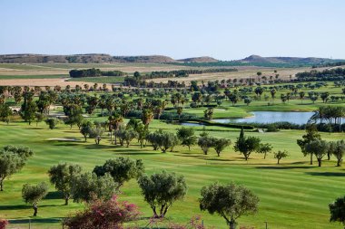 Muhteşem yeşil ve gölet ile golf sahası. Algorfa, İspanya.