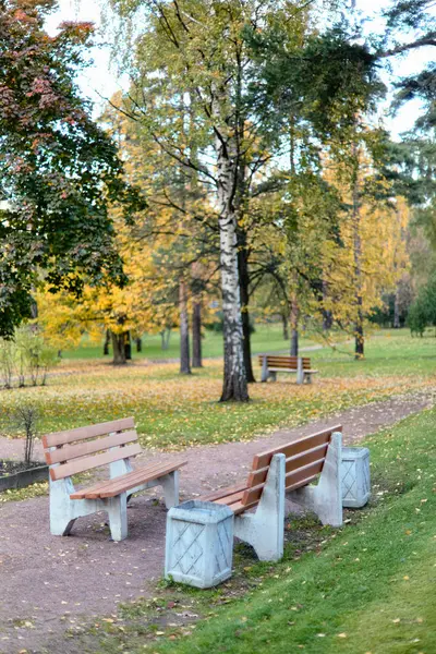 Bancos en el parque de otoño de Sosnovka, San Petersburgo. Enfoque suave . — Foto de Stock