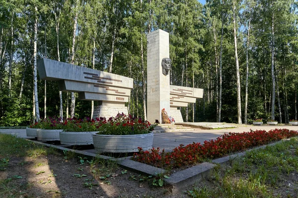 San Petersburgo, Rusia - 21 de julio de 2011: Monumento a los defensores del cielo de Leningrado. Arquitectos: V. V. Vinogradova, L. I. Matveeva. Parque Sosnovka . — Foto de Stock