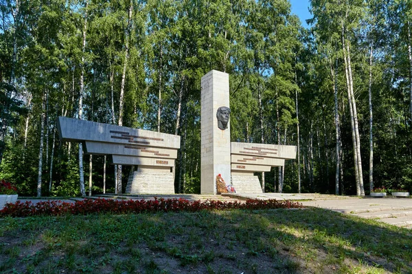 Saint-Petersburg, Russia - July 21, 2011: The monument to the Defenders of the Leningrad sky. Architects: V. V. Vinogradova, L. I. Matveeva. Sosnovka Park. — Stock Photo, Image