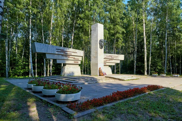 São Petersburgo, Rússia - 21 de julho de 2011: O monumento aos Defensores do céu de Leningrado. Arquitetos: V. V. Vinogradova, L. I. Matveeva. Parque Sosnovka . — Fotografia de Stock