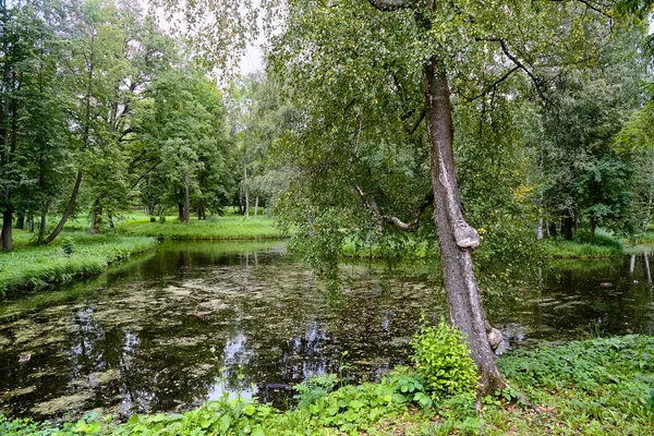 Güzel doğası ve mimari bir ısmarlayarak Gatchina Palace Park. Yaz peyzaj Gatchina, St. Petersburg, Rusya Federasyonu.