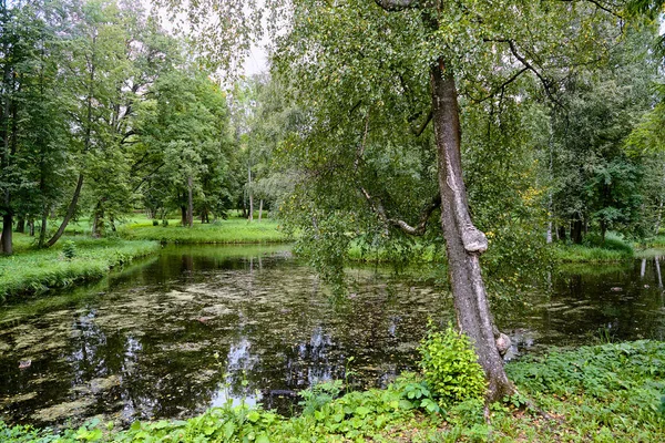 Una pintoresca vista en Gatchina Palace Park sobre la hermosa naturaleza y la arquitectura. Paisaje de verano en la Gatchina, San Petersburgo, Rusia . Fotos De Stock Sin Royalties Gratis