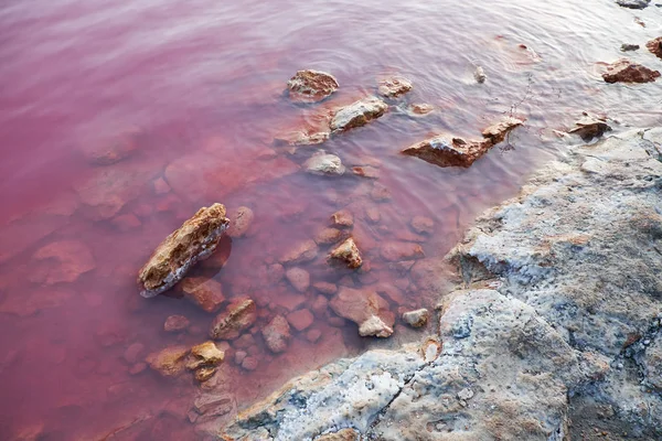 Bazı tuzaklar tuz kabuk, pembe suluboya olmak ile. Las salinas, Torrevieja, İspanya