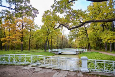 Pitoresk manzaralarına Alexander Park Puşkin şehirde Altın Sonbahar. St. Selo, St. Petersburg, Rusya Federasyonu.