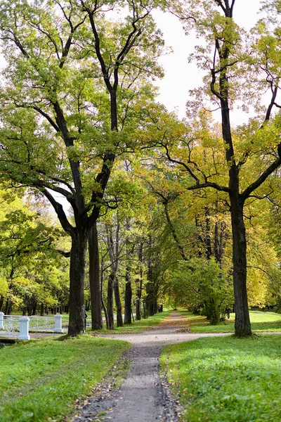 Pitoresk manzaralarına Alexander Park Puşkin şehirde Altın Sonbahar. St. Selo, St. Petersburg, Rusya Federasyonu.