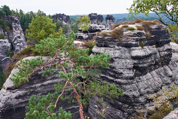 Bastei Rocas en Sajonia Suiza, alrededor de las ruinas del castillo de Neurathen. Alemania . — Foto de Stock