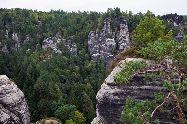 Bastei Neurathen kale kalıntıları çevresinde İsviçre Saksonya kayalarda. Almanya.