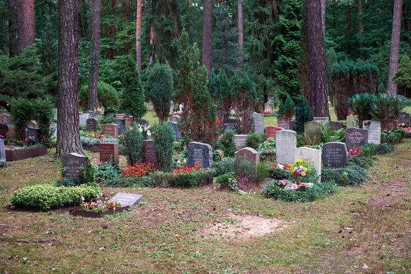 Mezarlık Dresden, Saksonya, Almanya.