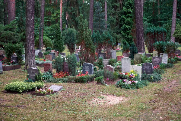 Cemetery in Dresden, Saxony, Germany. Stock Photo