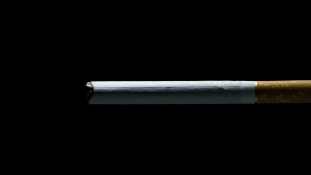 Zigarettennahaufnahme, Makro, auf dunklem Hintergrund — Stockvideo