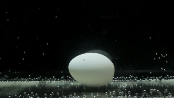 Huevo en el agua Acuario iluminado, burbujas — Vídeos de Stock