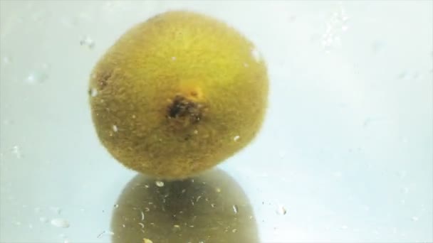 Kiwi im Wasser beleuchteten Aquarium, Blasen — Stockvideo