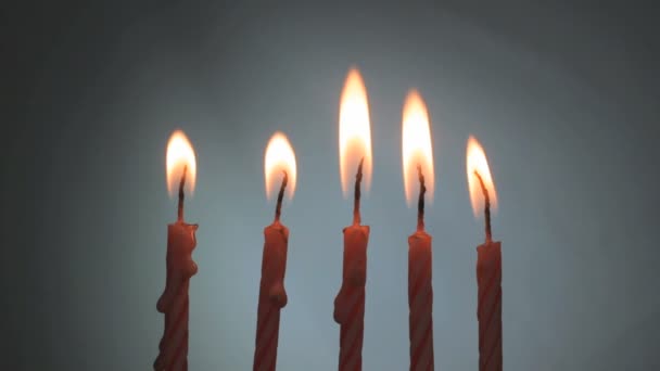 Velas de pastel en el cumpleaños — Vídeo de stock