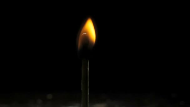 Burning match, macro on black background — Stock Video