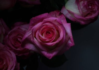 Güzel çiçek Sevgililer günü