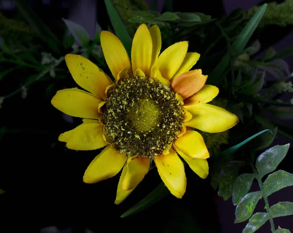 Güzel çiçek Sevgililer günü