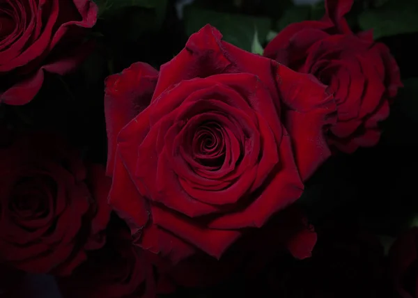 Güzel çiçek Sevgililer günü