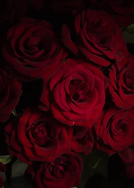 Güzel çiçek Sevgililer günü