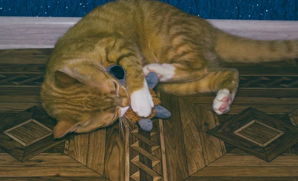 Красная кошка играет с игрушкой — стоковое фото