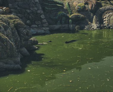 Şehir su birikintisi bahar yaz yaz 